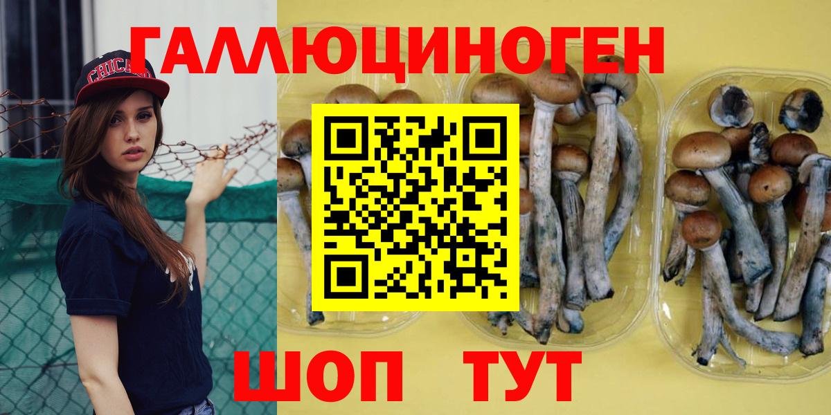 Галлюциногенные грибы мицелий Моршанск