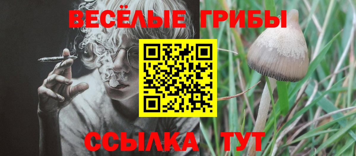Моршанск  Псилоцибиновые грибы прущие грибы  Псилоцибиновые грибы мухоморы  Вход с VPN 
